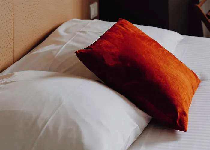 L'hotel Bristol קאין