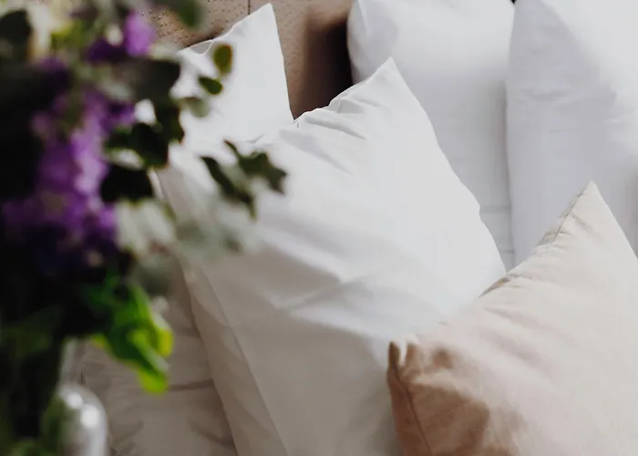 L'hotel Bristol 3* カーン